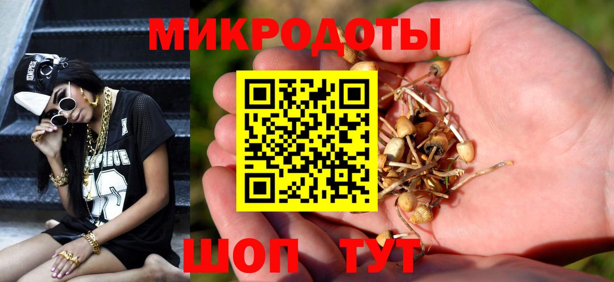 Псилоцибиновые грибы Cubensis  продажа наркотиков  Серов  Вход с VPN  Галлюциногенные грибы прущие грибы 